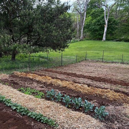 Woodville Walnut Run Farm 빌라 외부 사진