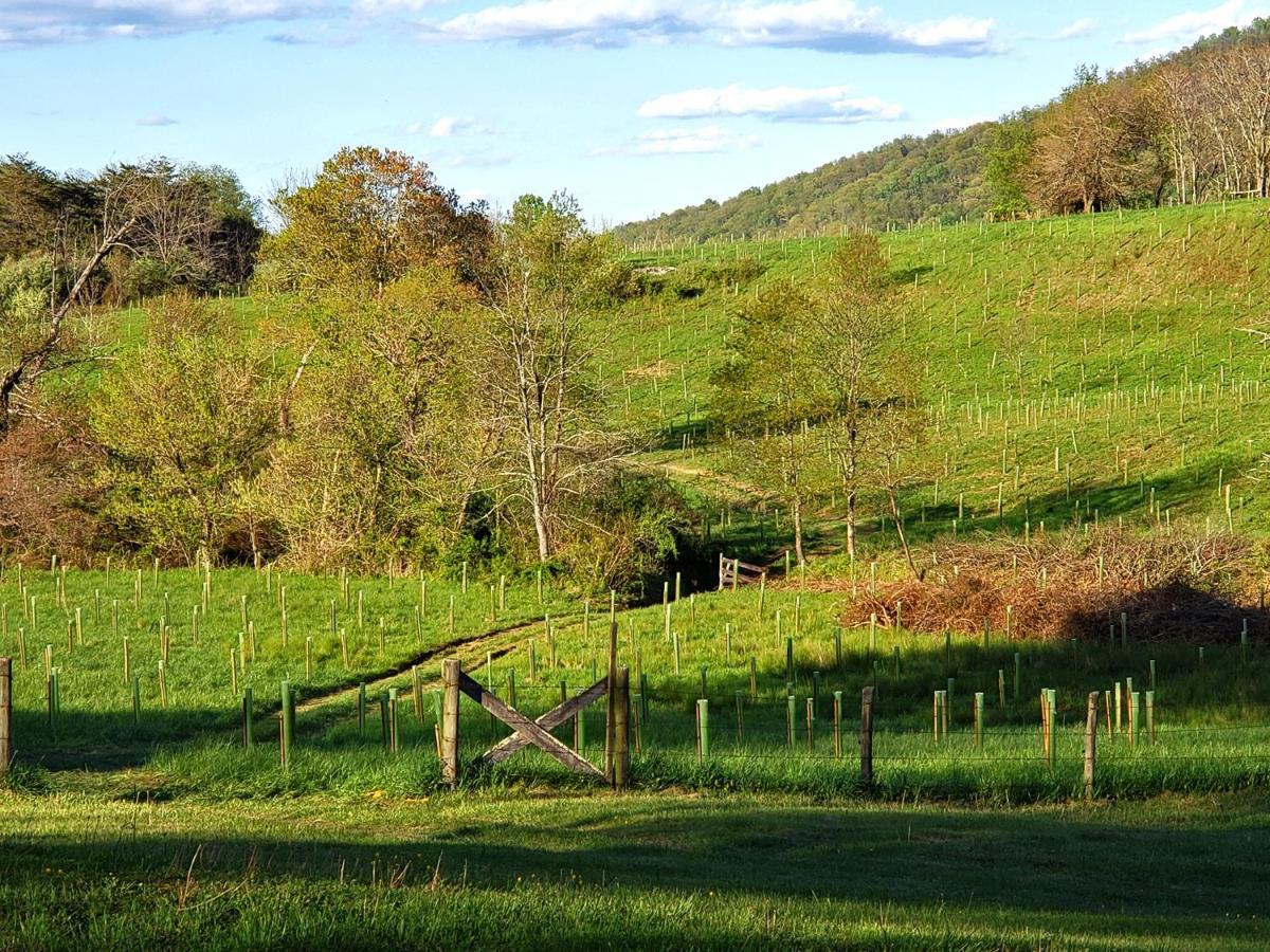 Woodville Walnut Run Farm 빌라 외부 사진