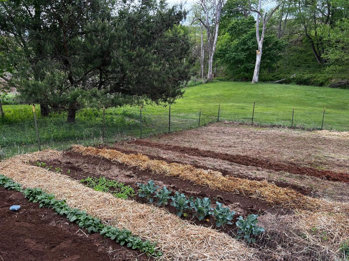 Woodville Walnut Run Farm 빌라 외부 사진