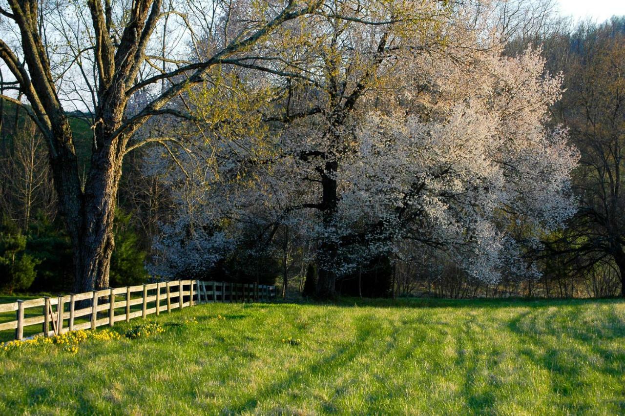 Woodville Walnut Run Farm 빌라 외부 사진